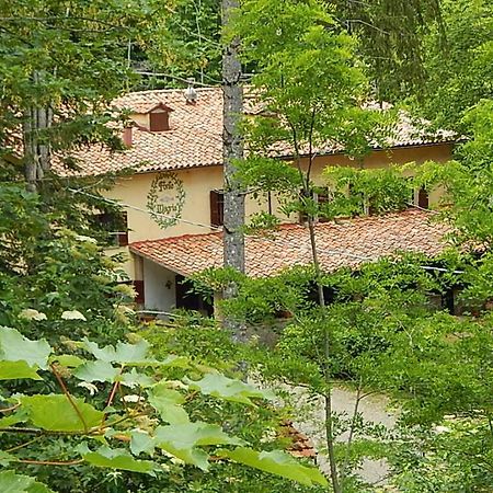 Agriturismo Fonte Magria Abbadia San Salvator Bagian luar foto