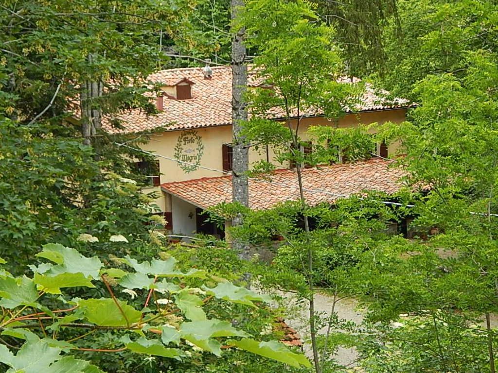 Agriturismo Fonte Magria Abbadia San Salvator Bagian luar foto