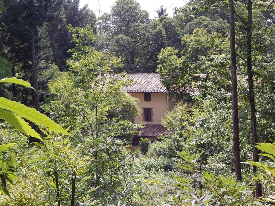 Agriturismo Fonte Magria Abbadia San Salvator Bagian luar foto